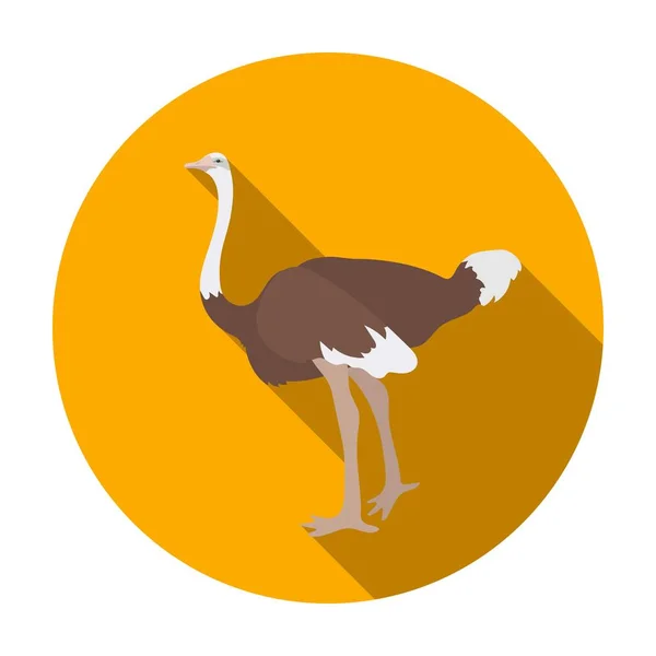 Strauß-Ikone im flachen Stil isoliert auf weißem Hintergrund. Vogel Symbol Aktienvektor Illustration. — Stockvektor