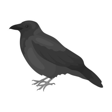 Karga simgesi beyaz arka plan üzerinde izole tek renkli tarzı. Kuş sembol stok vektör çizim.