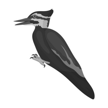 Tek renkli stil beyaz arka plan üzerinde izole ağaçkakan simgesini. Kuş sembol stok vektör çizim.