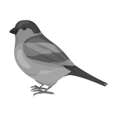 Tek renkli stil beyaz arka plan üzerinde izole şakrak kuşu simgesini. Kuş sembol stok vektör çizim.