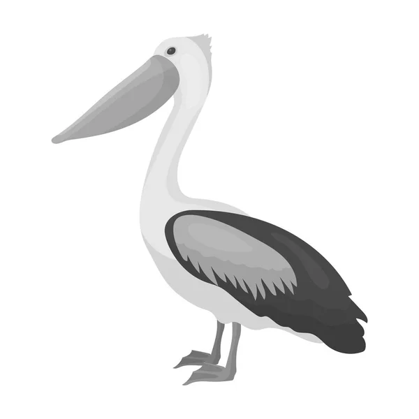 Pelikán ikona v monochromatickém stylu izolovaných na bílém pozadí. Pták symbol akcií vektorové ilustrace. — Stockový vektor