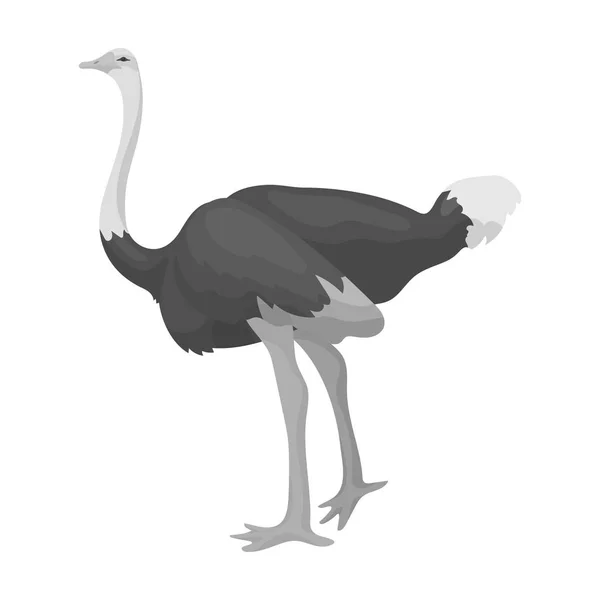 Icône d'autruche dans un style monochrome isolé sur fond blanc. Illustration vectorielle du symbole oiseau . — Image vectorielle