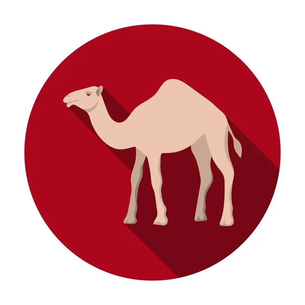 Kamel ikonen i platt stil isolerad på vit bakgrund. Arabemiraten symbol lager vektorillustration. — Stock vektor
