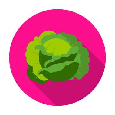 Düz stil beyaz arka plan üzerinde izole lahana simgesini. Sembol stok vektör çizim bitki.