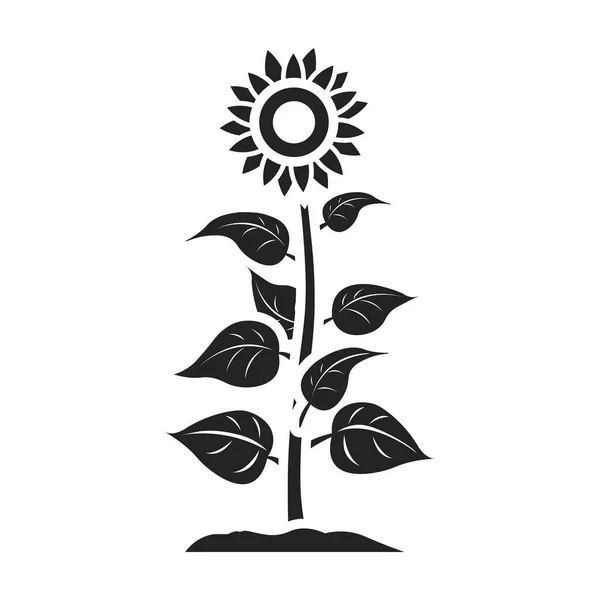 Icona girasole in stile nero isolata su sfondo bianco. Illustrazione del vettore stock simbolo vegetale . — Vettoriale Stock