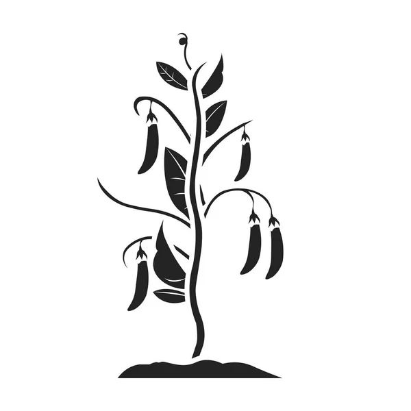 Icono de guisantes en estilo negro aislado sobre fondo blanco. Planta símbolo stock vector ilustración . — Vector de stock