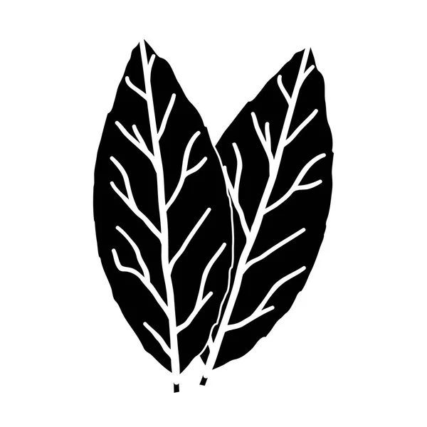 Icono de Laurus en estilo negro aislado sobre fondo blanco. Hierba un símbolo especias stock vector ilustración . — Vector de stock