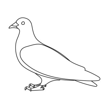 Güvercin simgesi beyaz arka plan üzerinde izole anahat tarzı. Kuş sembol stok vektör çizim.