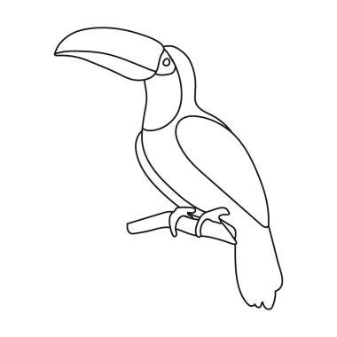 Beyaz arka plan üzerinde izole anahat tarzı toucan simgesi. Kuş sembol stok vektör çizim.