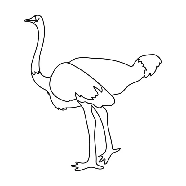 Icône d'autruche en style contour isolé sur fond blanc. Illustration vectorielle du symbole oiseau . — Image vectorielle
