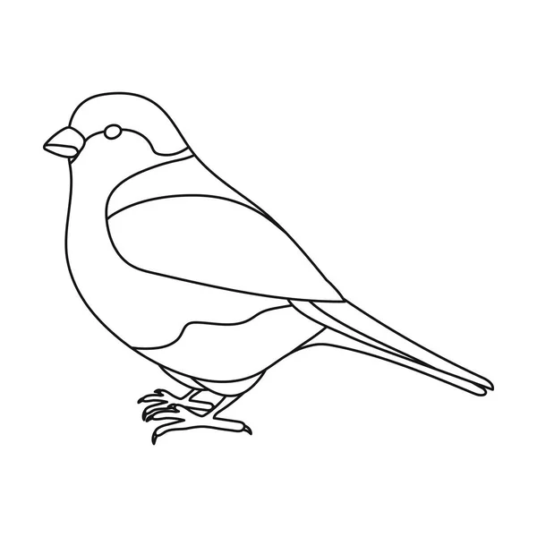 Gimpel-Symbol im Umrissstil isoliert auf weißem Hintergrund. Vogel Symbol Aktienvektor Illustration. — Stockvektor