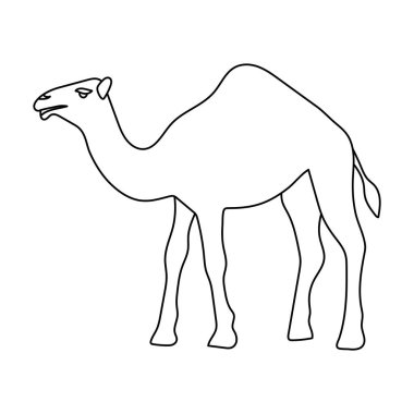 Deve simgesi beyaz arka plan üzerinde izole anahat tarzı. Arap Emirlikleri sembol stok vektör çizim.