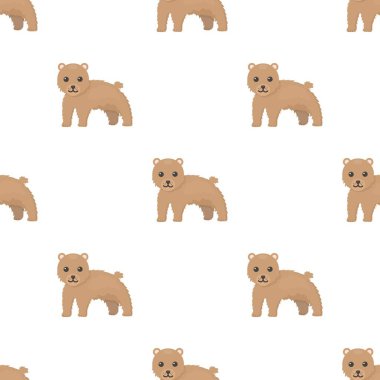 Ayı simgesi beyaz arka plan üzerinde izole karikatür tarzı. Hayvanlar sembol stok vektör çizim desen.