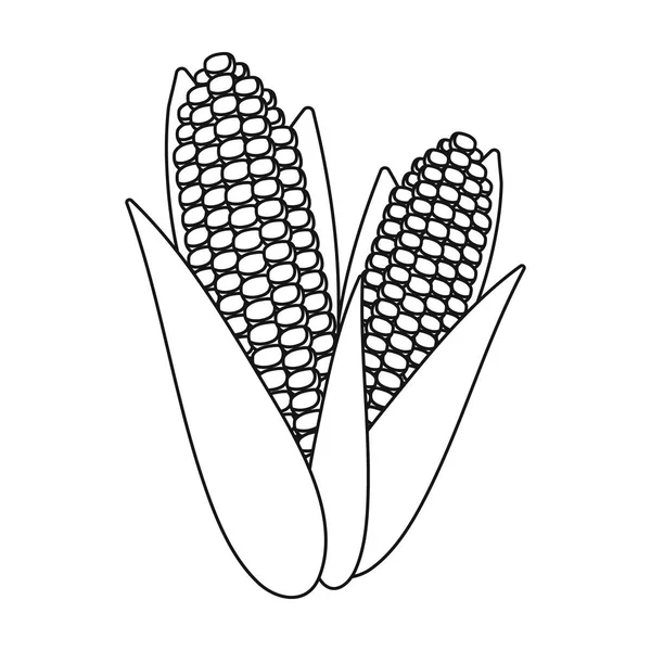 Tatlı Mısır simgesi beyaz arka plan üzerinde izole anahat tarzı. Kanadalı Şükran günü sembol stok vektör çizim.