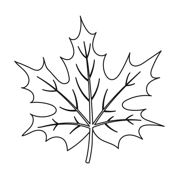 Icono de hoja de arce en estilo de contorno aislado sobre fondo blanco. Día de Acción de Gracias canadiense símbolo stock vector ilustración . — Vector de stock
