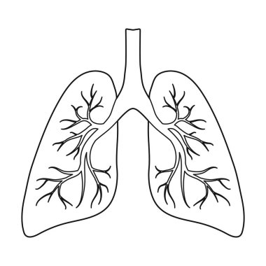 Akciğerler simgesi beyaz arka plan üzerinde izole anahat tarzı. Organları sembol stok vektör çizim.
