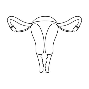 Beyaz arka plan üzerinde izole anahat tarzı rahim simgesi. Organları sembol stok vektör çizim.