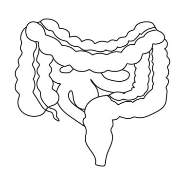 Beyaz arka plan üzerinde izole anahat tarzı gastrointestinal sistem kutsal kişilerin resmi. Organları sembol stok vektör çizim.