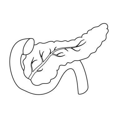 Pankreas simgesi beyaz arka plan üzerinde izole anahat tarzı. Organları sembol stok vektör çizim.