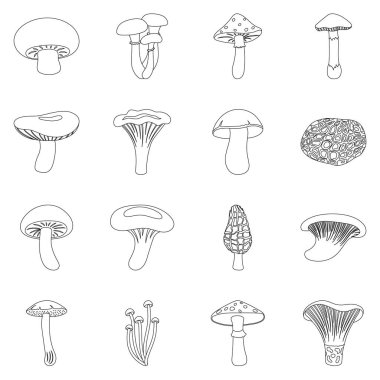 Mantar simgeleri anahat stilinde ayarlayın. Mantar vektör simge stok çizim büyük toplama