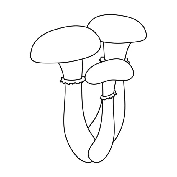 蜂蜜木耳图标在白色背景上孤立的轮廓样式。蘑菇象征股票矢量图. — 图库矢量图片