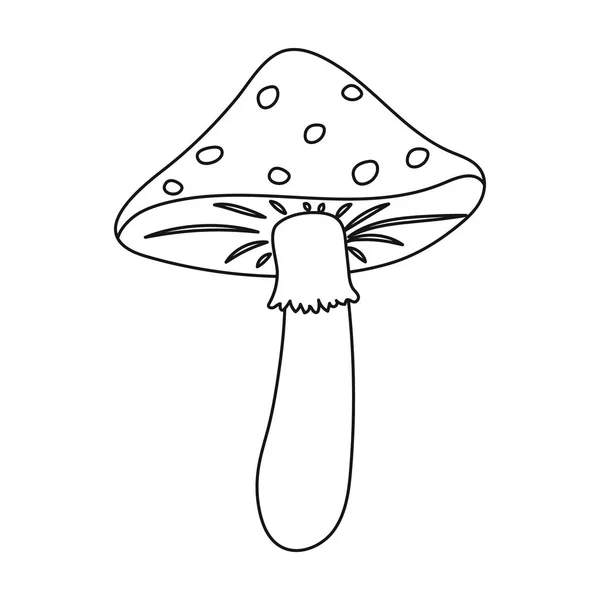 Icône Amanita dans le style de contour isolé sur fond blanc. Symbole champignon illustration vectorielle de stock . — Image vectorielle