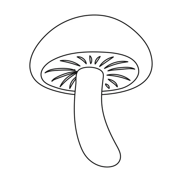 香菇中孤立的白色背景上的大纲样式图标。蘑菇象征股票矢量图. — 图库矢量图片