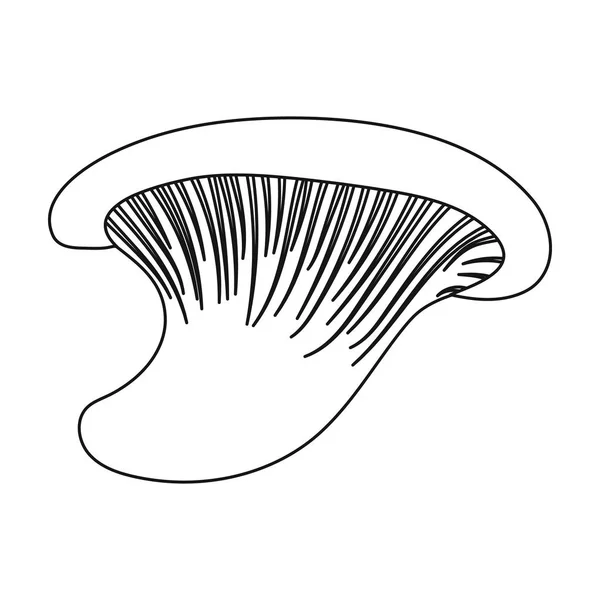 Icône huître en style contour isolé sur fond blanc. Symbole champignon illustration vectorielle de stock . — Image vectorielle