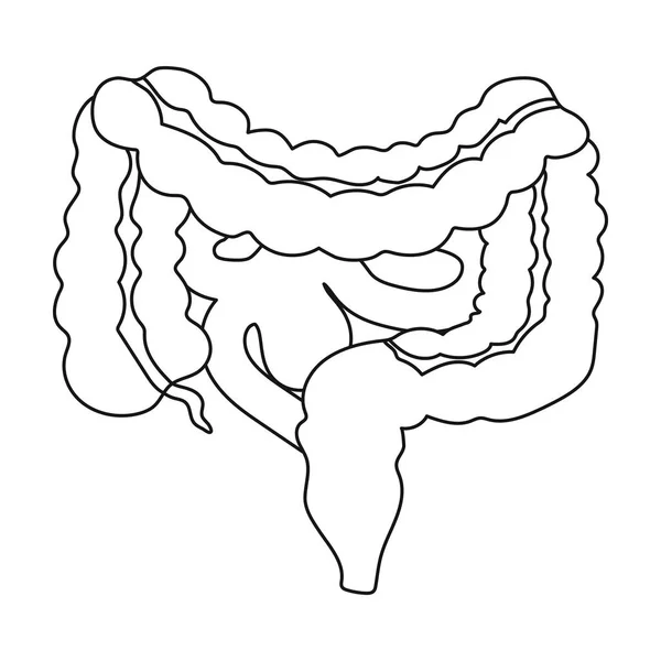 Magen-Darm-Trakt-Symbol im Umrissstil isoliert auf weißem Hintergrund. Organe Symbol Aktienvektor Illustration. — Stockvektor