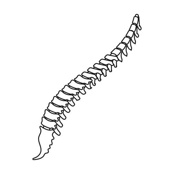 Icona della colonna vertebrale in stile contorno isolato su sfondo bianco. Organi simbolo stock vettoriale illustrazione . — Vettoriale Stock