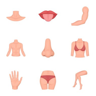 Part of body set icons in cartoon style. Big collection of part of body vector symbol stock illustration clipart
