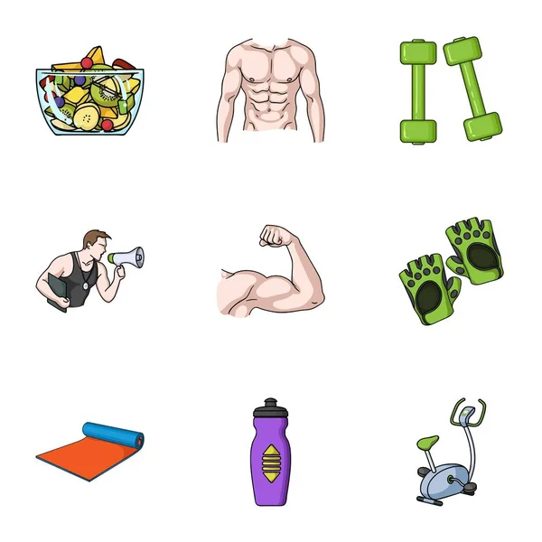 Sport- und Fitnesssymbole im Cartoon-Stil. Große Sammlung von Sport und Fitness Vektor Symbolstock Illustration — Stockvektor