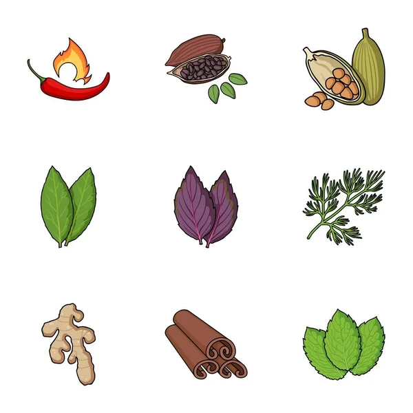 Herb e especiarias definir ícones em estilo cartoon. Grande coleção de ervas e especiarias vetor símbolo estoque ilustração — Vetor de Stock