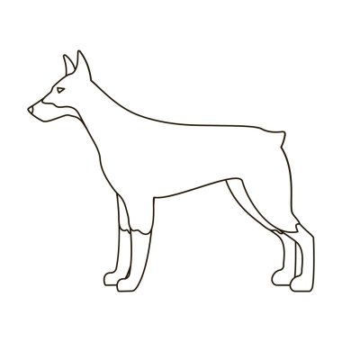 Beyaz arka plan üzerinde izole anahat stili simgesini Doberman. Köpek doğurmak stok vektör çizim sembolü.