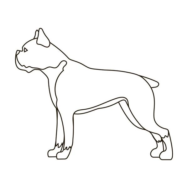 Πυγμάχος σκύλος εικονίδιο στο στυλ διάρθωσης που απομονώνονται σε λευκό φόντο. Φυλών σκύλου σύμβολο εικονογράφηση διάνυσμα απόθεμα. — Διανυσματικό Αρχείο