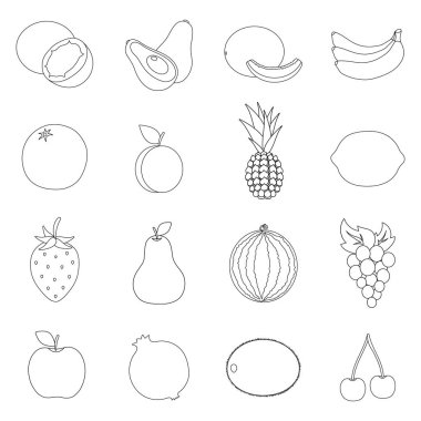 Meyve simgeleri anahat stilinde ayarlayın. Meyvelerin büyük koleksiyonu sembol stok illüstrasyon vektör