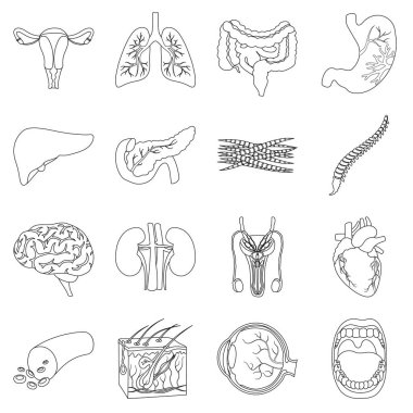 Organları simgeleri anahat stilinde ayarlayın. Büyük koleksiyon organların sembol stok illüstrasyon vektör