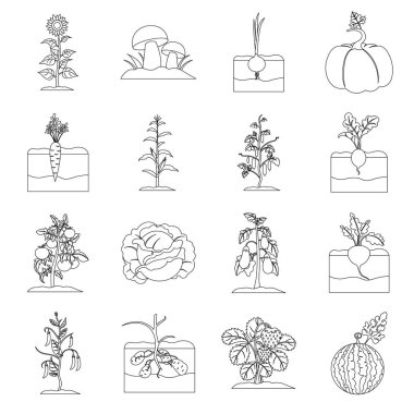 Bitki simgeleri anahat stilinde ayarlayın. Bitki vektör simge stok çizim büyük toplama