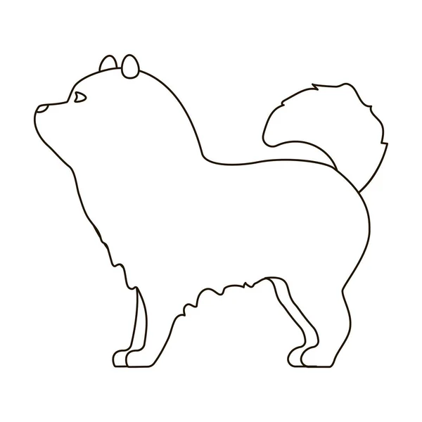 Chow-chow icon in outline style isolated on white background. Dog breeds symbol stock vector illustration. — Stock Vector