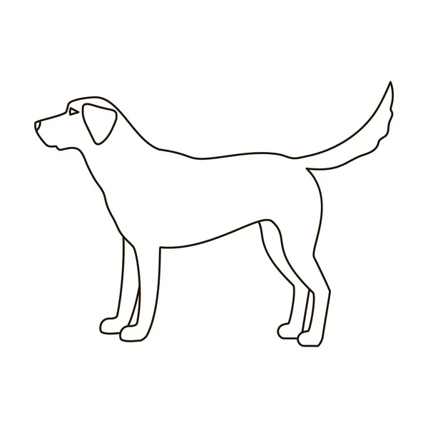 Labrador icon in outline style isolated on white background. Dog breeds symbol stock vector illustration. — Stock Vector