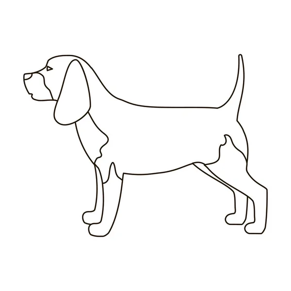 Beagle ikona stylu kontur na białym tle. Rasy psów symbol Stockowa ilustracja wektorowa. — Wektor stockowy