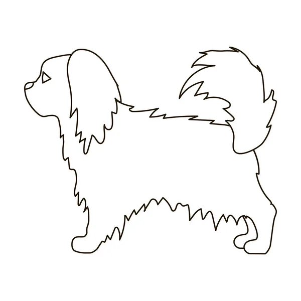 Icono pekinés en estilo de contorno aislado sobre fondo blanco. Perro razas símbolo stock vector ilustración . — Archivo Imágenes Vectoriales