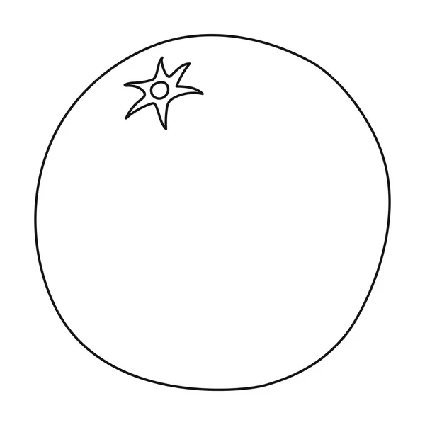 Icône orange dans le style de contour isolé sur fond blanc. Illustration vectorielle du symbole de fruit . — Image vectorielle
