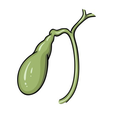 İnsan safra kesesi simgesi beyaz arka plan üzerinde izole karikatür tarzı. İnsan organlarını hisse senedi vektör çizim sembolü.