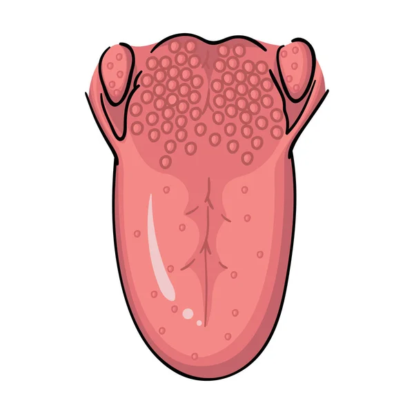 Het pictogram van de menselijke tong in cartoon stijl geïsoleerd op een witte achtergrond. Menselijke organen symbool voorraad vectorillustratie. — Stockvector