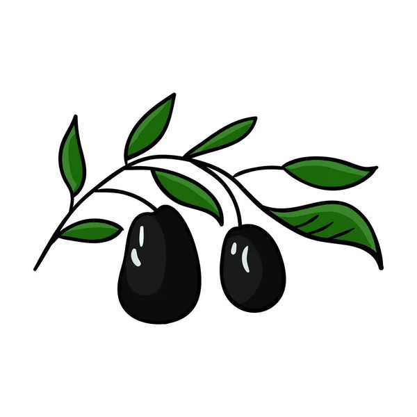 从意大利图标在白色背景上孤立的卡通风格的意大利橄榄。意大利国家象征股票矢量图. — 图库矢量图片