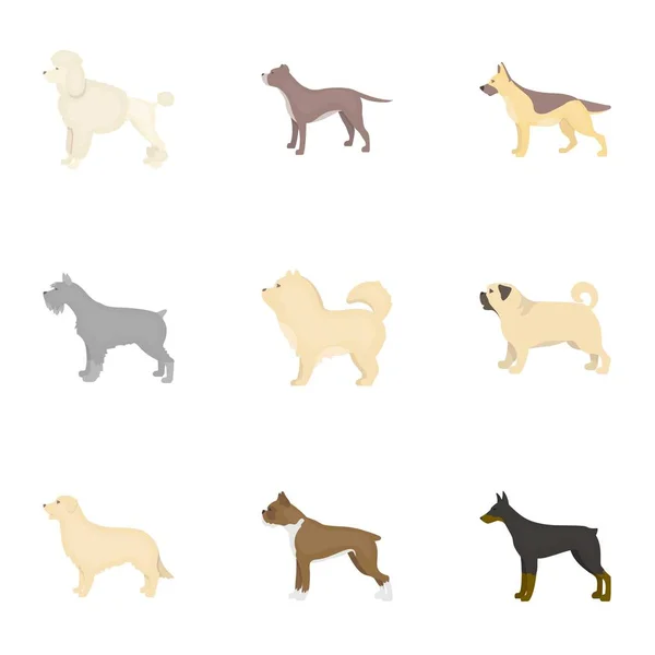 Las razas de perros establecen iconos en estilo de dibujos animados. Gran colección de razas de perros vector símbolo stock ilustración — Vector de stock