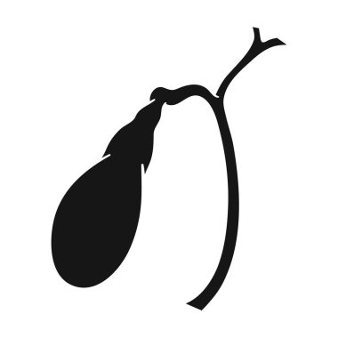 İnsan safra kesesi simge siyah stil beyaz arka plan üzerinde izole içinde. İnsan organlarını hisse senedi vektör çizim sembolü.