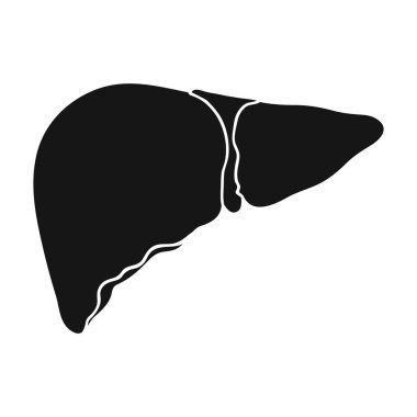 İnsan karaciğer simge siyah stil beyaz arka plan üzerinde izole içinde. İnsan organlarını hisse senedi vektör çizim sembolü.