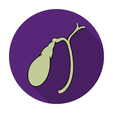 Düz stil beyaz arka plan üzerinde izole insan safra kesesi simgesini. İnsan organlarını hisse senedi vektör çizim sembolü.